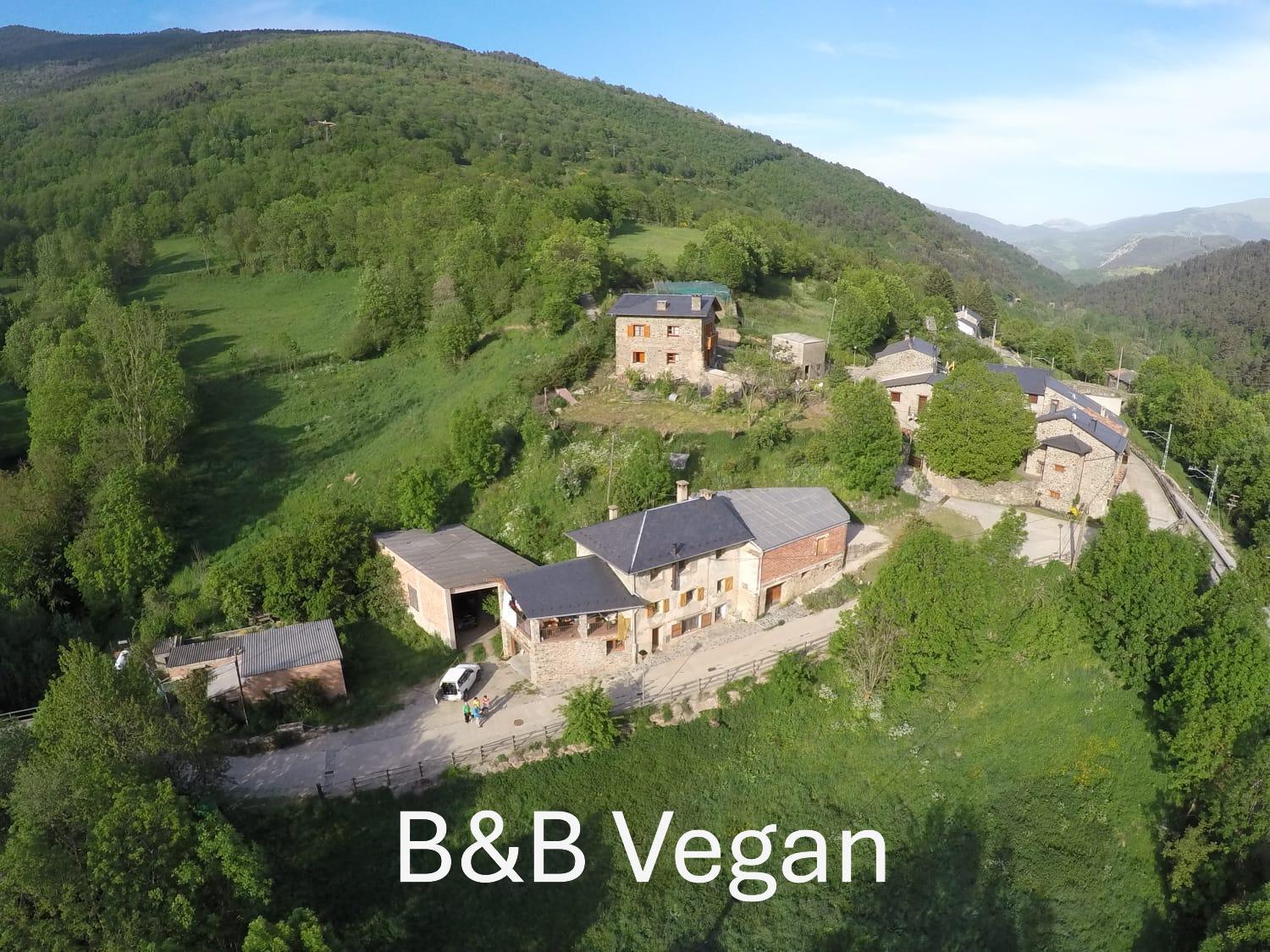 Bed and Breakfast Cal Calau Vega Planoles  Exterior foto